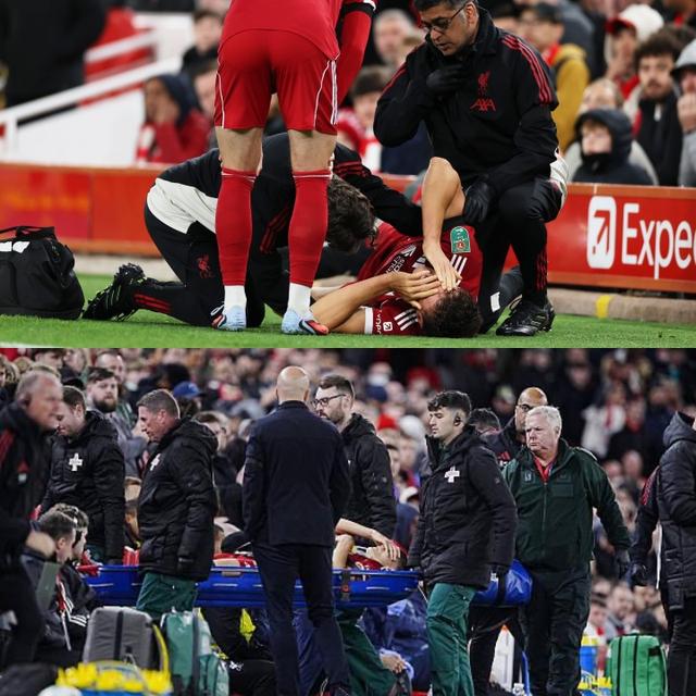 具体的伤情 具体的伤情