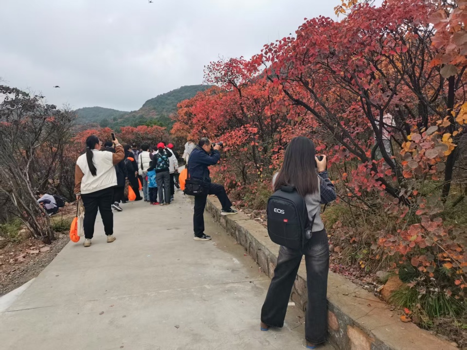 民健身参赛 民健身参赛